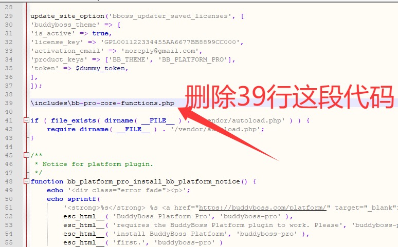 BuddyBoss Platform Pro